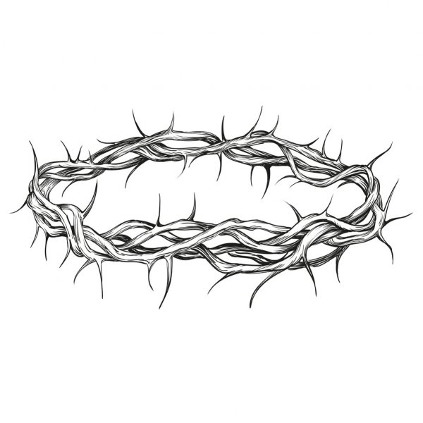 Featured image of post Corona De Cristo Drawing