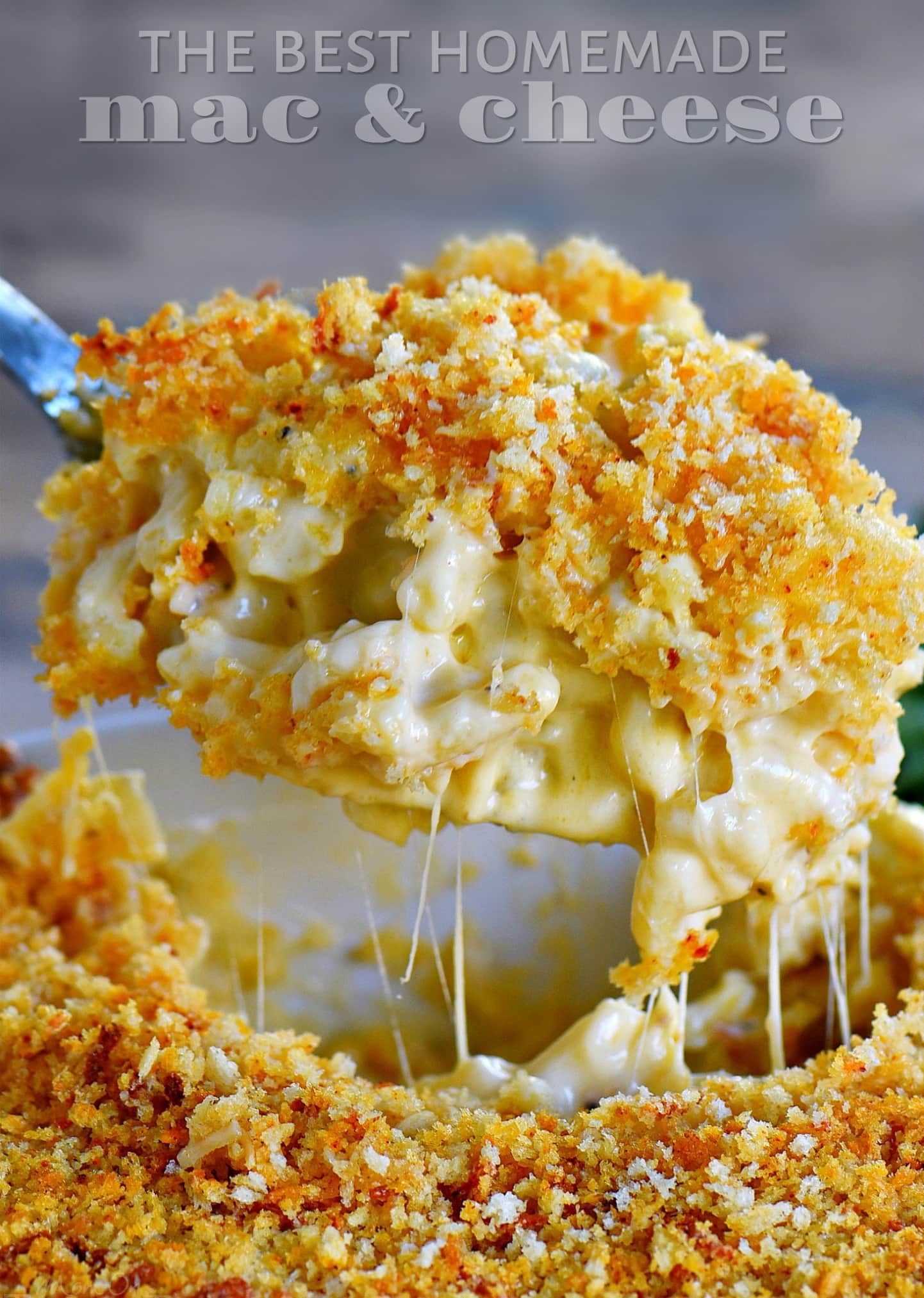 Featured image of post Homemade Mac And Cheese Images