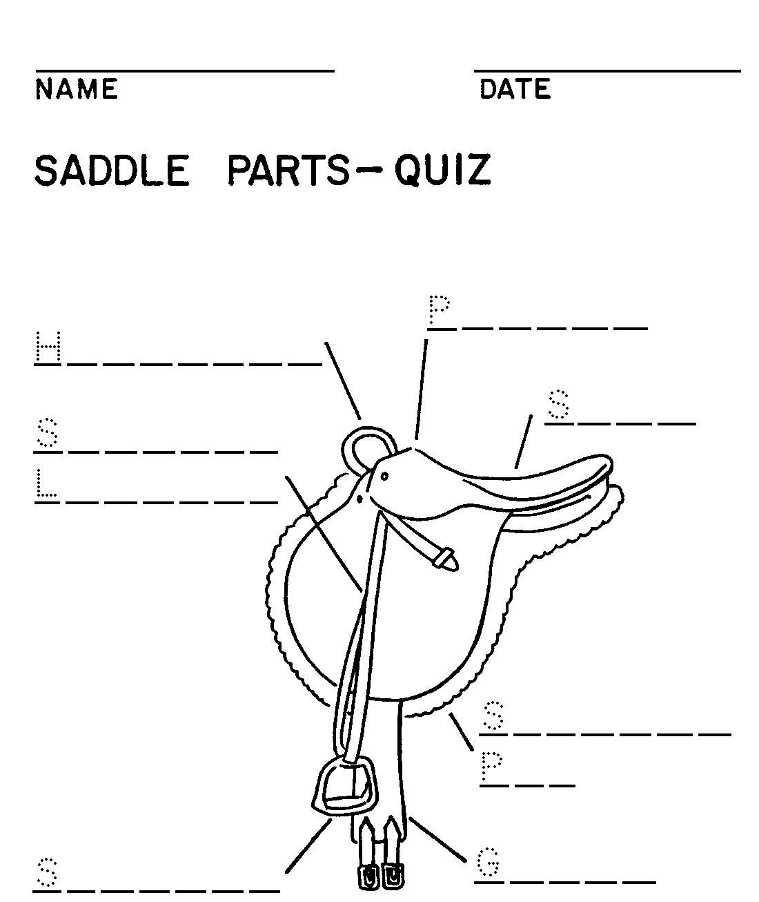 Featured image of post Parts Of A Saddle Blank