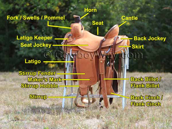 Featured image of post Parts Of A Saddle Labeled