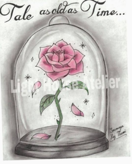 Featured image of post Pinterest Beauty And The Beast Rose Drawing