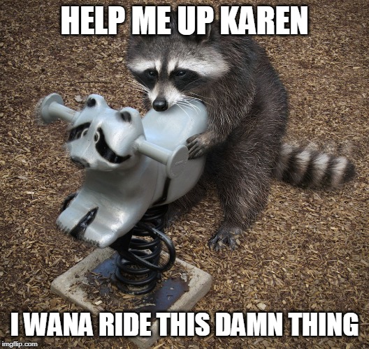 Featured image of post Racoon Gif Meme