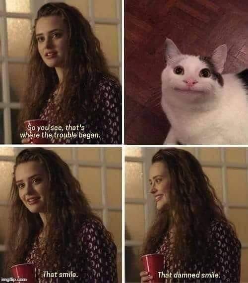 Featured image of post That Damn Smile Cat